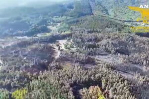 incendio ogliastra danni