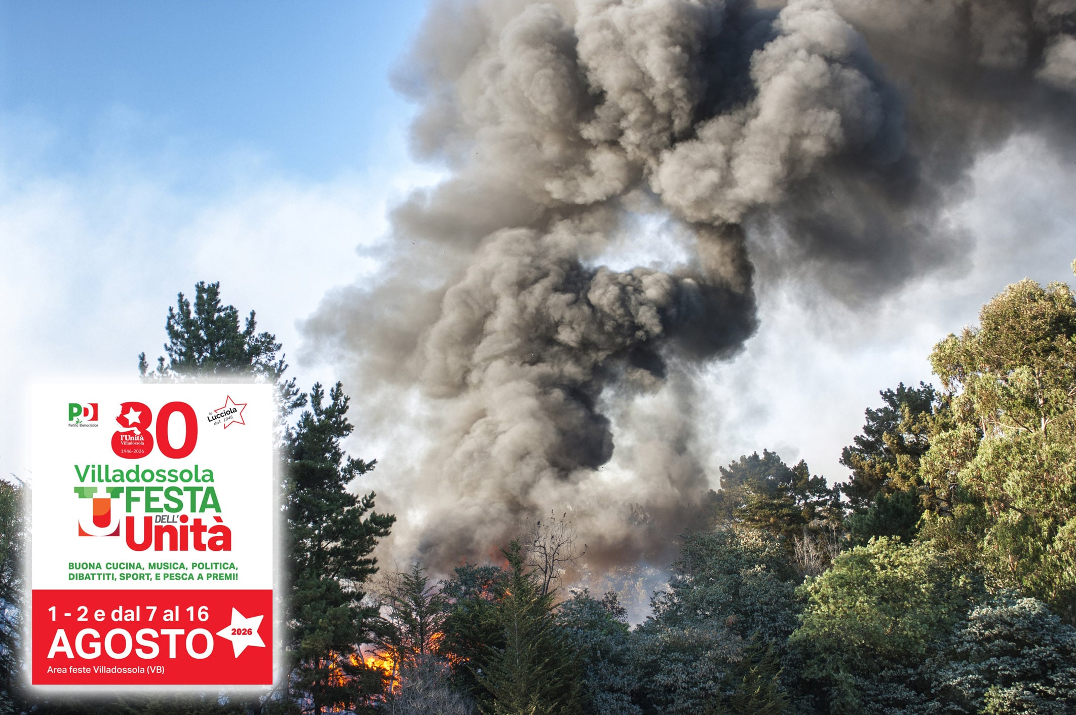la salamella dem minaccia i boschi multa di 10000 euro dai forestali da Laverita.info la salamella dem minaccia i boschi multa di 10000 euro dai forestali