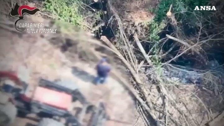 Vibo Valentia, ripreso da un drone mentre appicca un incendio: arrestato
