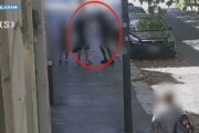 Rapina a un anziano a Milano, egiziano fermato grazie alle foto sul cellulare