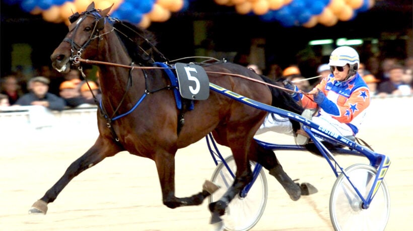 Addio a Varenne, il cavallo più forte del mondo