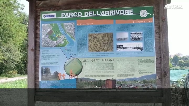 Abusi su minore a Torino, FdI: «Secondo caso in poche settimane»