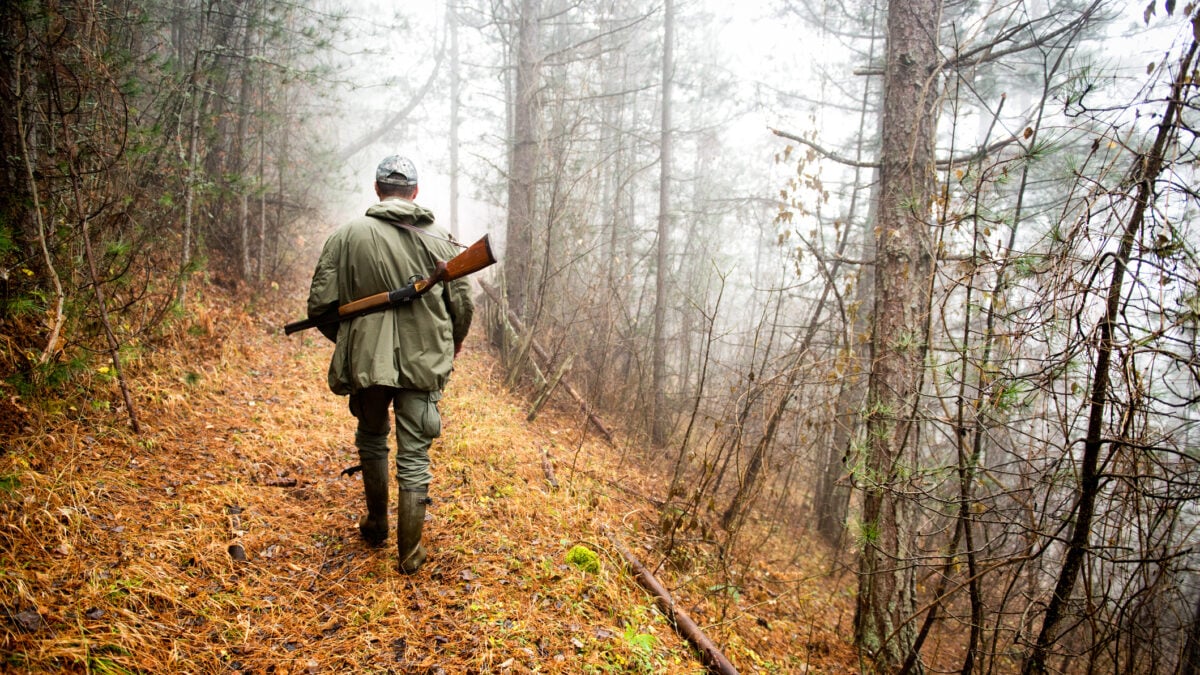 Cacciatore nel bosco durante la stagione venatoria