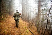Cacciatore nel bosco durante la stagione venatoria