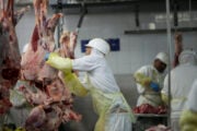 carne brasile ue
