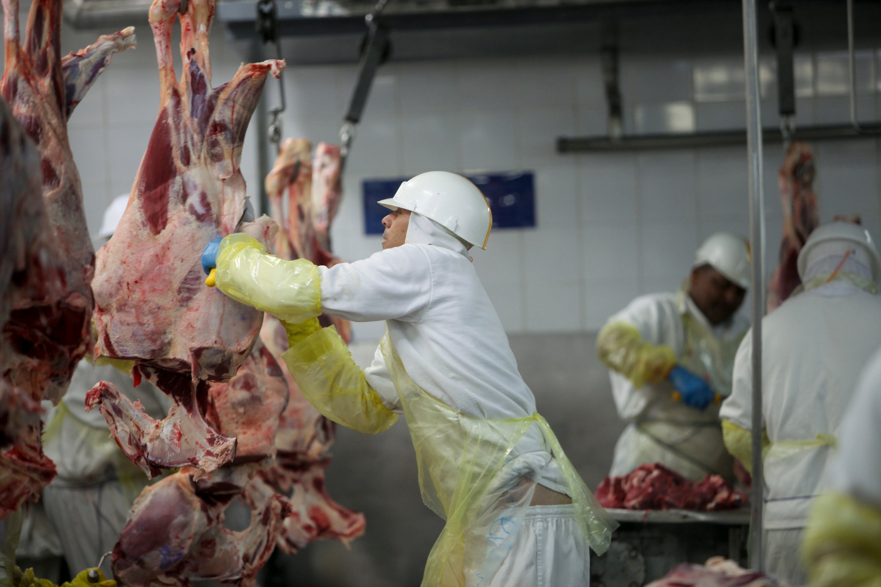 stop alla carne dal brasile mercosur da buttare da Laverita.info stop alla carne dal brasile mercosur da buttare