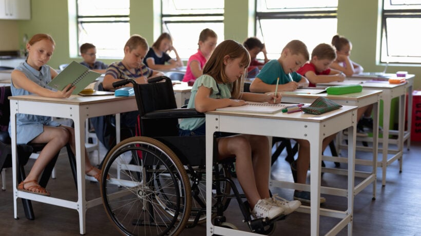 Afd, la verità sulle «classi per disabili»
