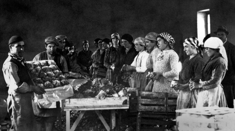 Solo ’nduja, cipolla e peperoncino? No, in Calabria c’è di più