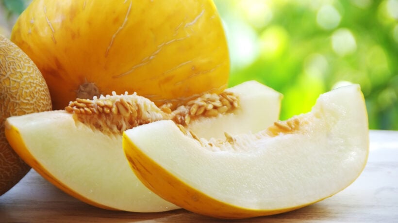 Frutto «invernale» dalle origini persiane. Il melone bianco è un orgoglio nazionale