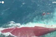 Indonesia, traghetto si rovescia: morti e dispersi