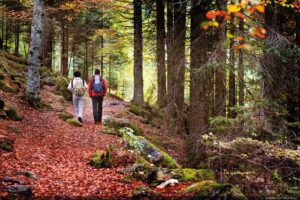 trentino autunno