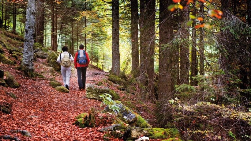 L’autunno colora i parchi del Trentino per vivere la montagna a passo lento