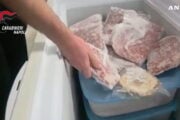 Caivano, vermi negli alimenti di una comunità per minori