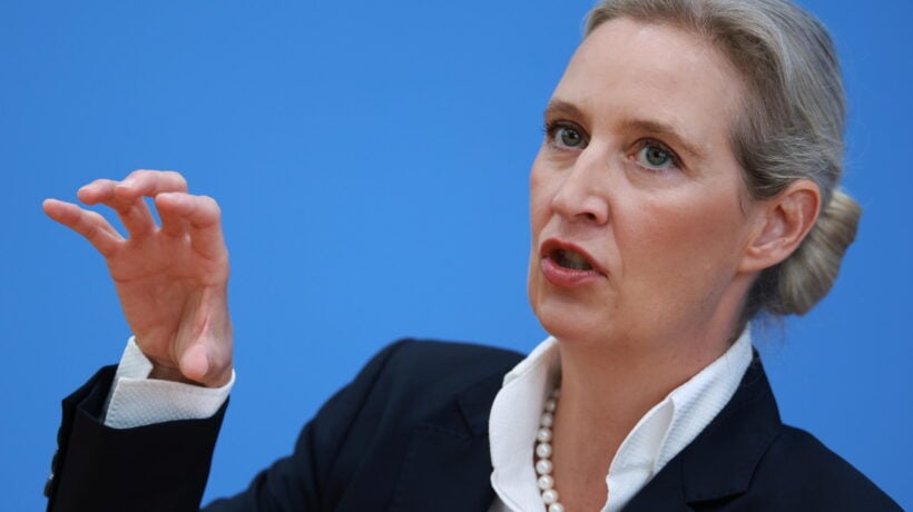 In Germania hanno un’idea: difendere la democrazia mettendo fuori legge Afd