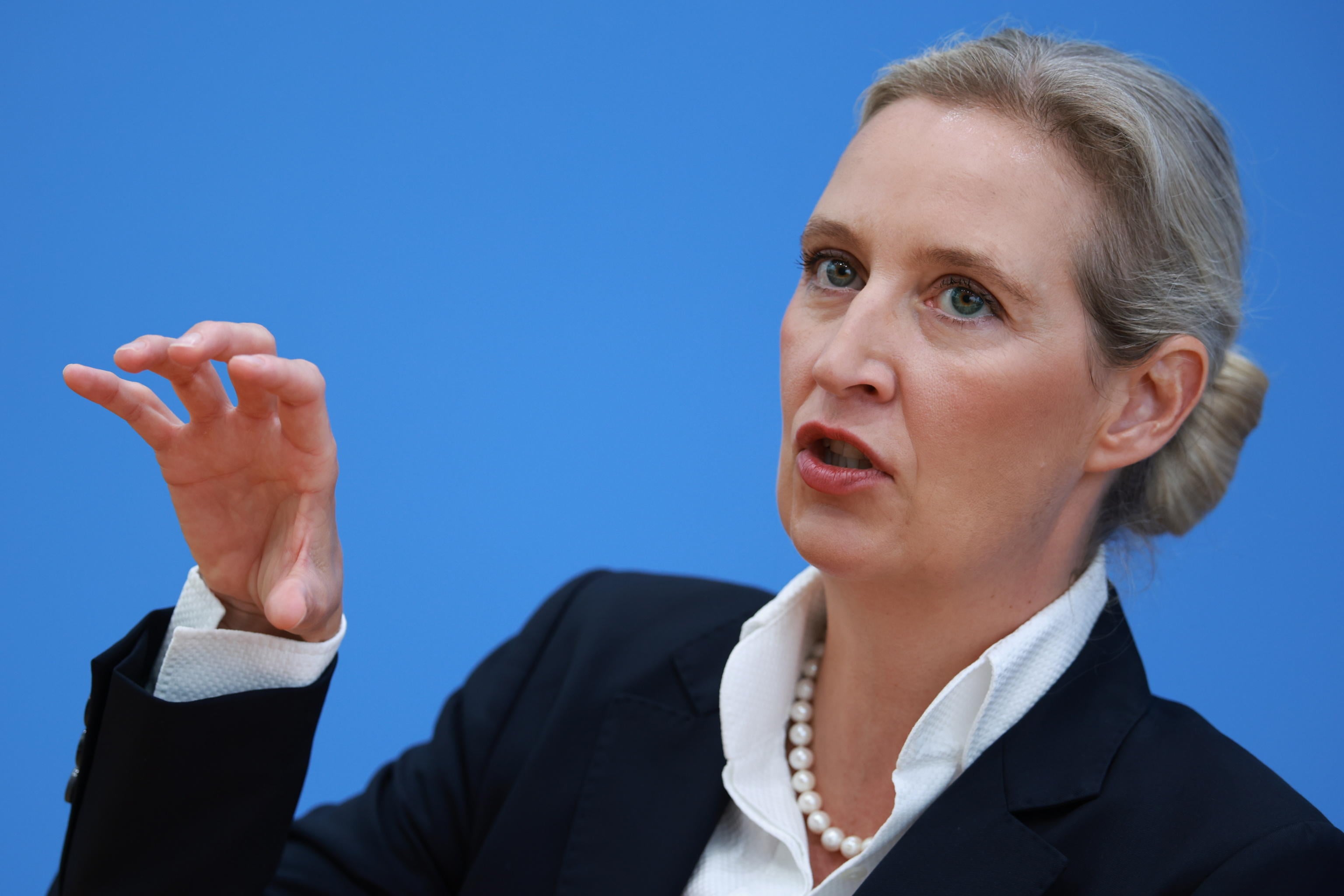 in germania hanno un8217idea difendere la democrazia mettendo fuori legge afd da Laverita.info in germania hanno un8217idea difendere la democrazia mettendo fuori legge afd