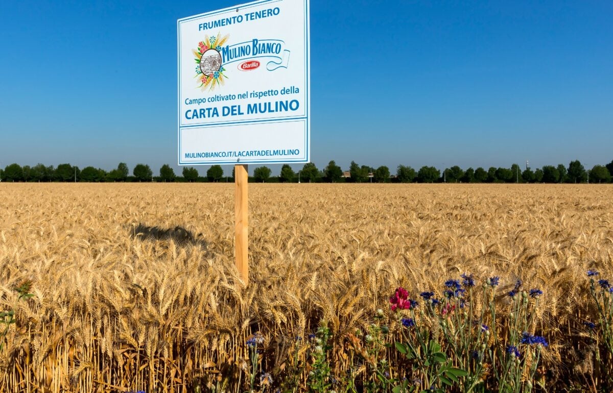 Rispettare la terra e chi la abita. Così Barilla coltiva il cibo del futuro