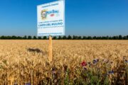 Rispettare la terra e chi la abita. Così Barilla coltiva il cibo del futuro