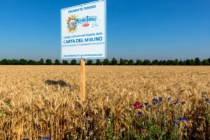 Rispettare la terra e chi la abita. Così Barilla coltiva il cibo del futuro