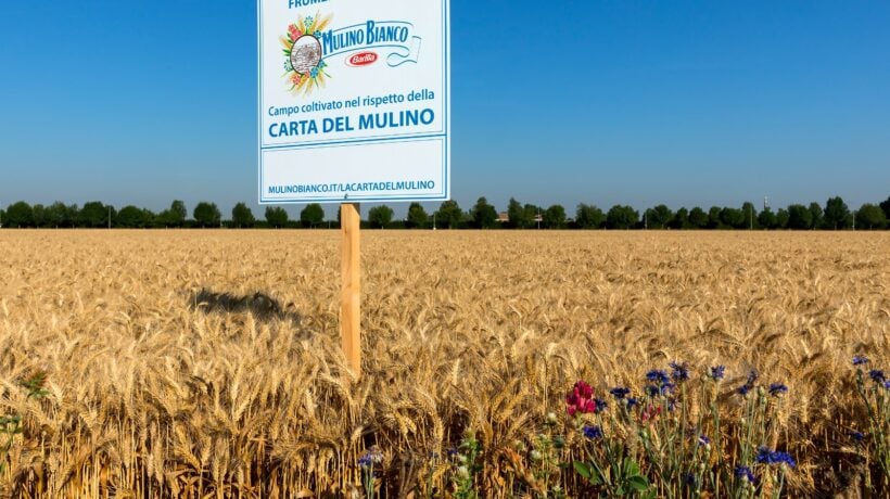 Rispettare la terra e chi la abita. Così Barilla coltiva il cibo del futuro