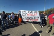Caro diesel, la protesta in Calabria è guidata da un condannato