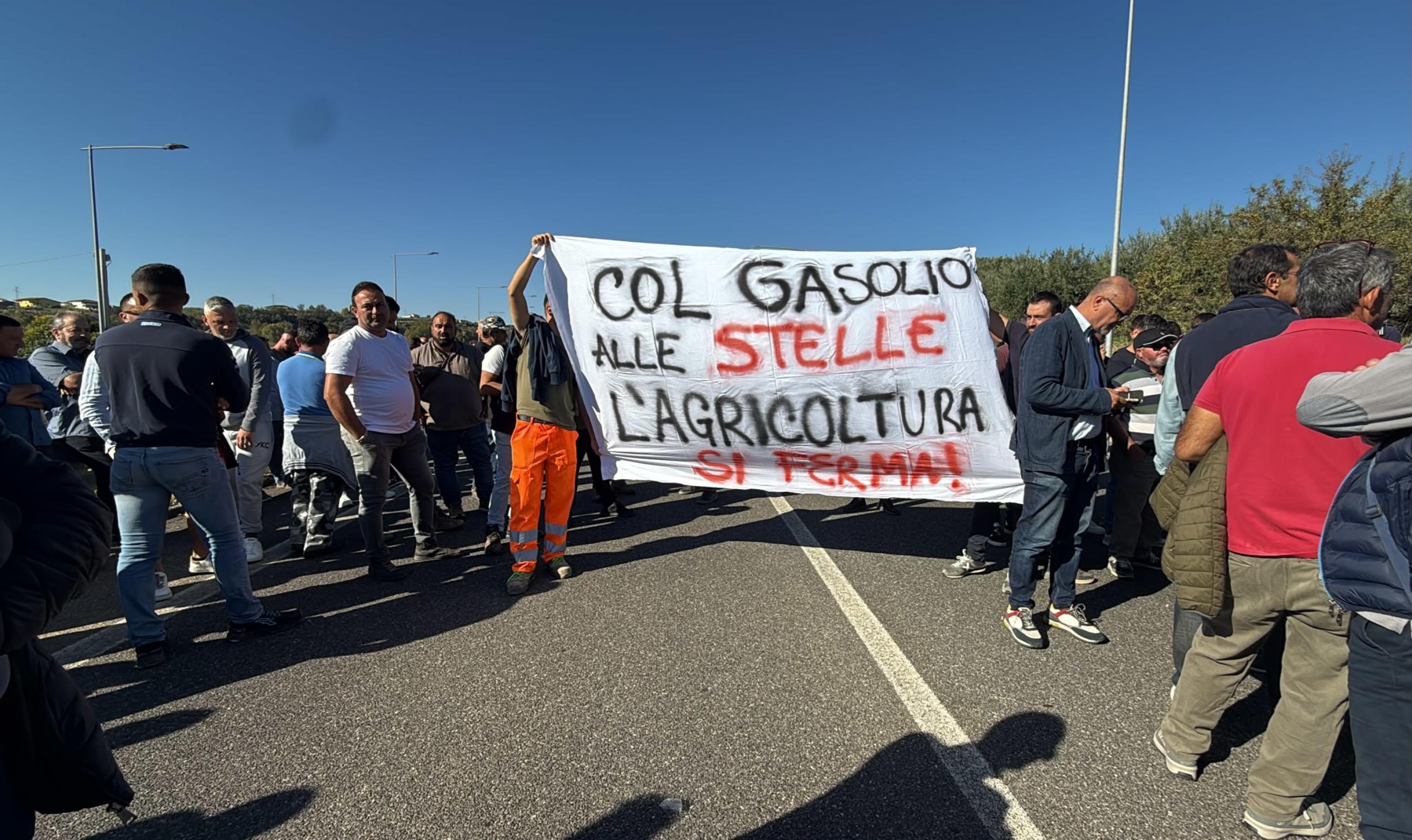 caro diesel la protesta in calabria 232 guidata da un condannato da Laverita.info caro diesel la protesta in calabria 232 guidata da un condannato