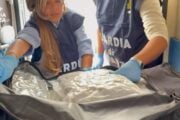 cocaina frutta varese