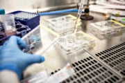 Taroccato lo studio sul «vaccino universale»
