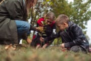 Nelle scuole si educa anche piantando alberi