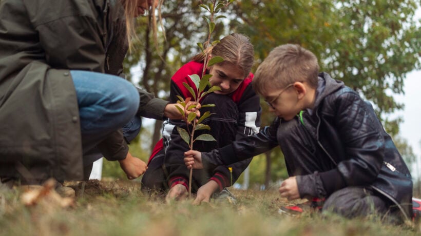 Nelle scuole si educa anche piantando alberi