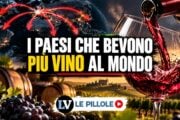 I Paesi in cui si beve più vino al mondo