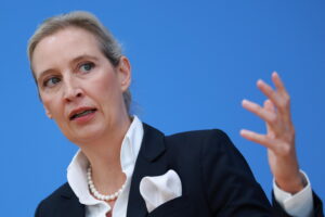 Svolta in Germania: crolla il muro anti Afd