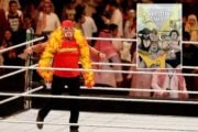 Bruno Sammartino, Hulk Hogan e gli altri: la storia del wrestling in 20 ritratti
